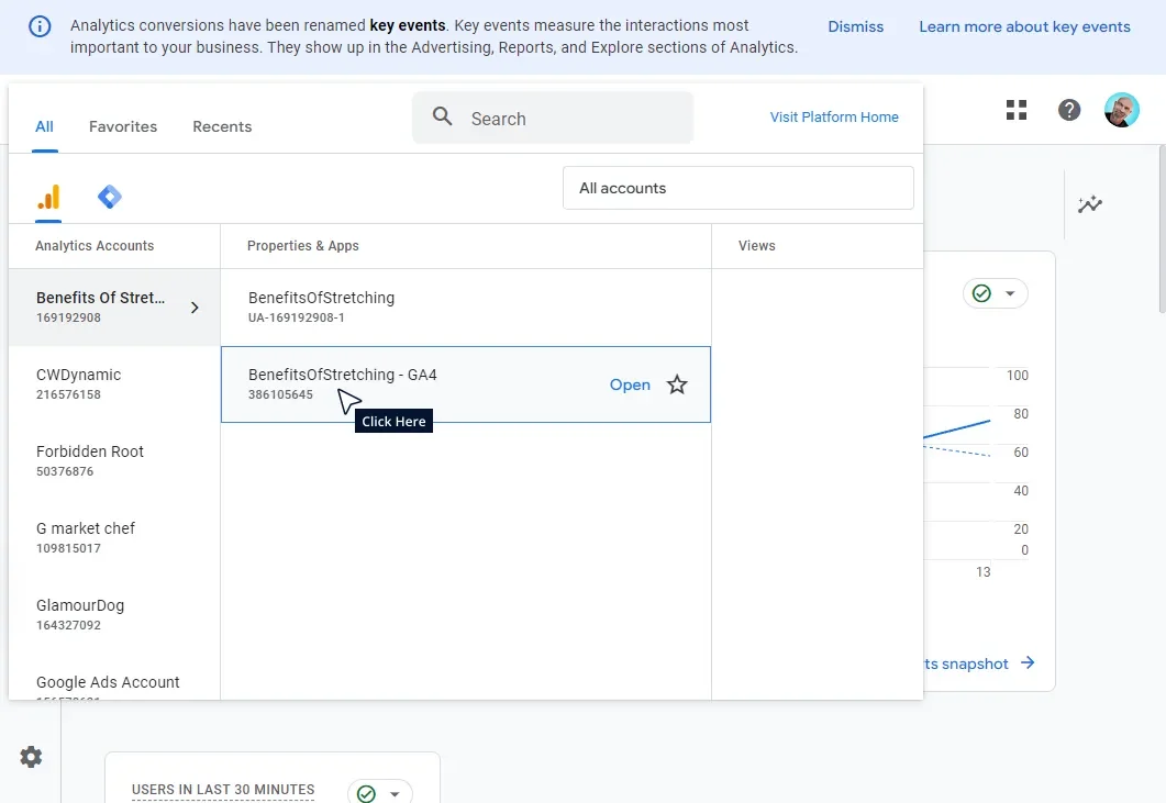 Add A User To Google Analytics GA4 Tutorial