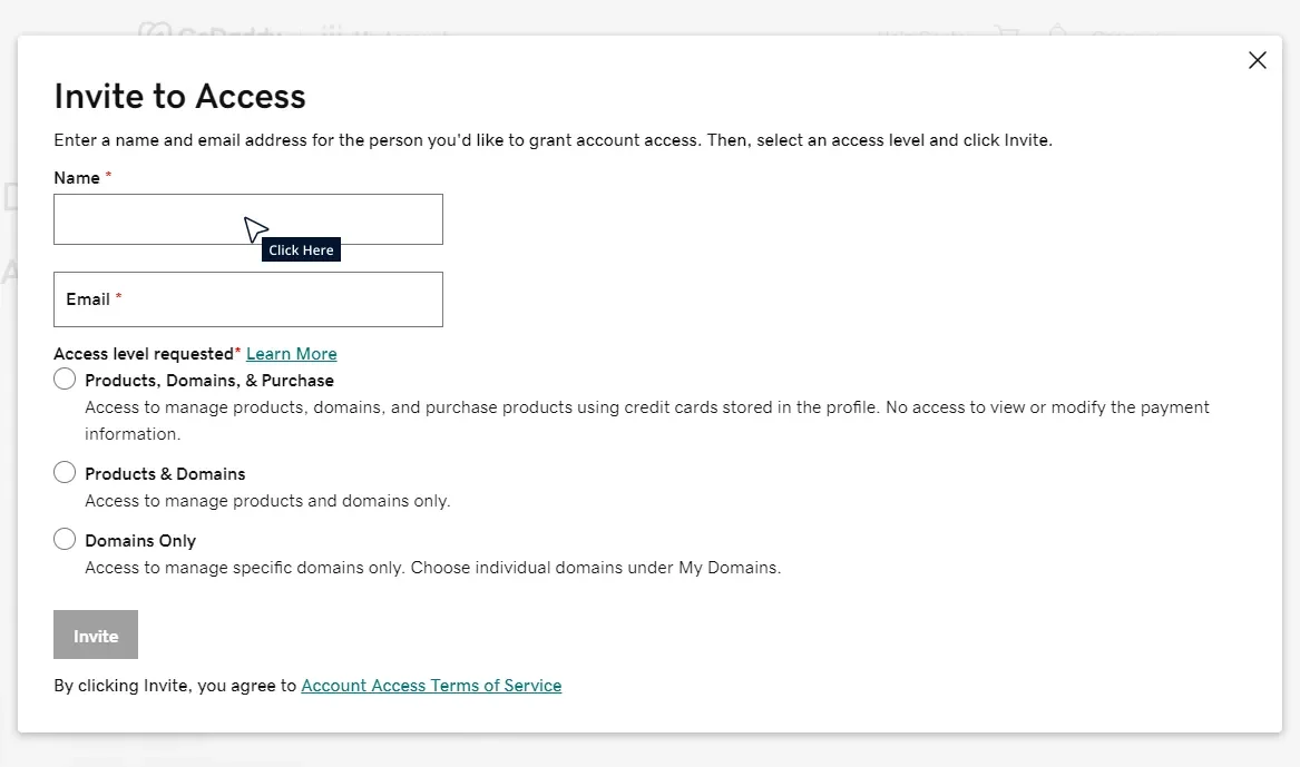 Add GoDaddy Delegate Access Tutorial Step