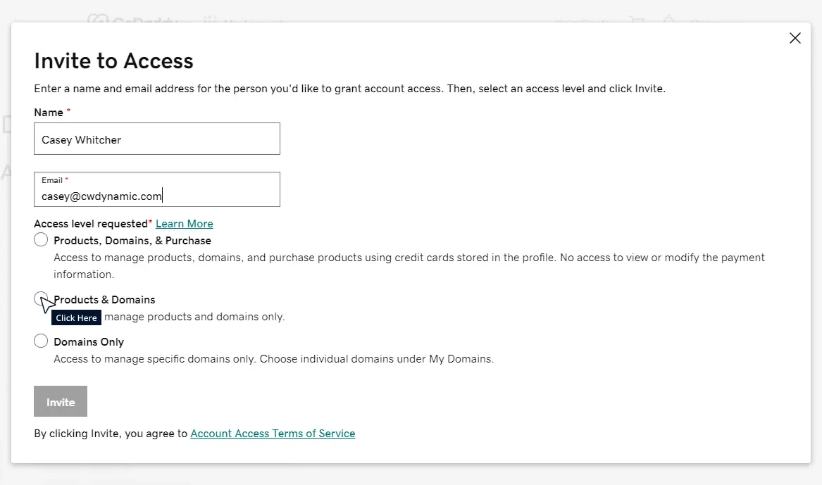 Add GoDaddy Delegate Access Tutorial Step