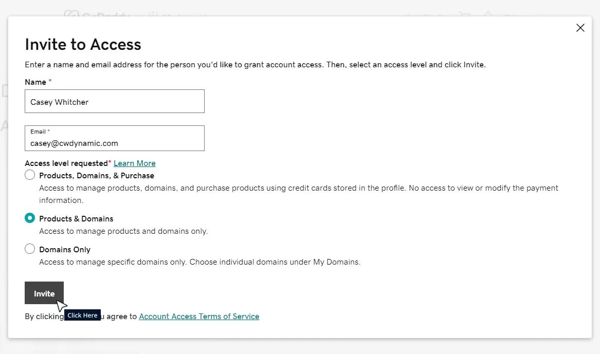 Add GoDaddy Delegate Access Tutorial Step